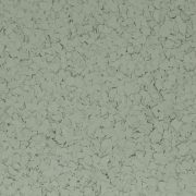 Torginol® | Basil
